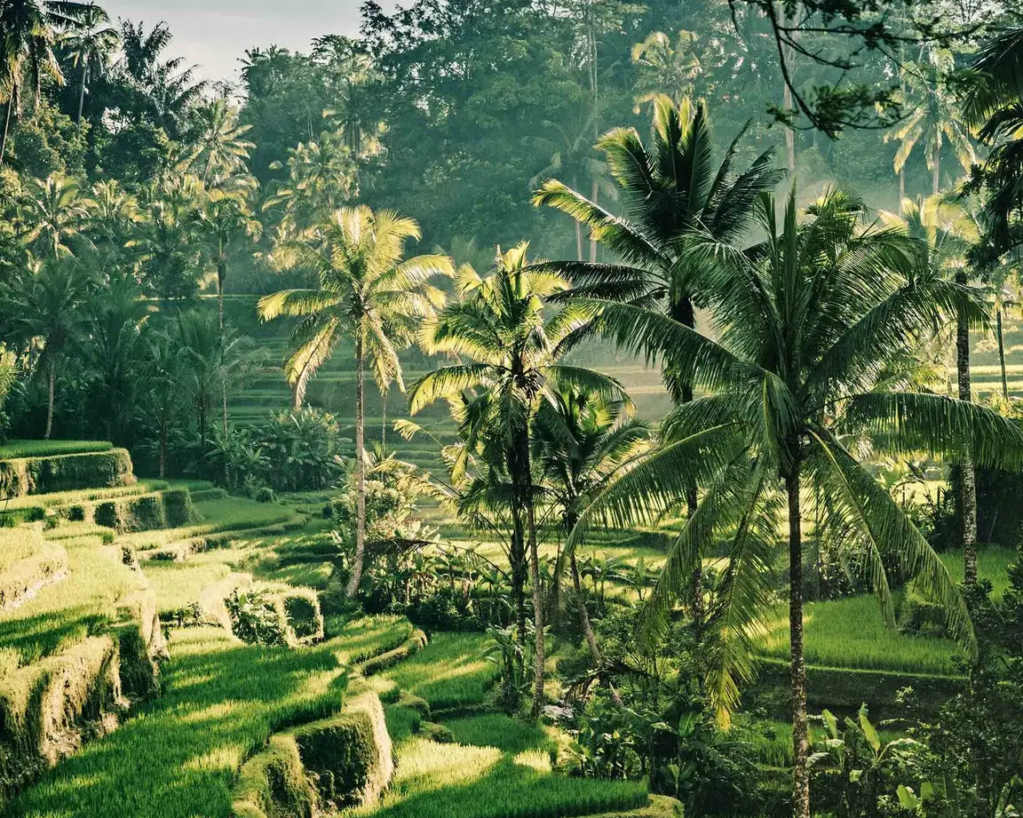 Private car airport transfer to Ubud, Bali